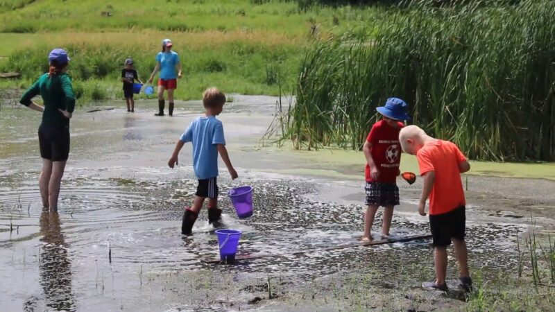 Dickinson County Nature Center