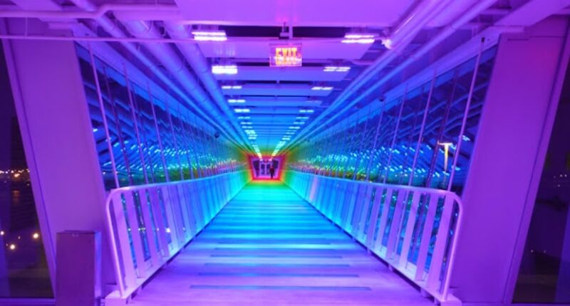 Light show during a walk on the Davenport Skybridge