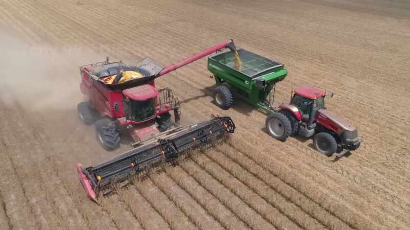 A harvester and tractor working on corn in Iowa