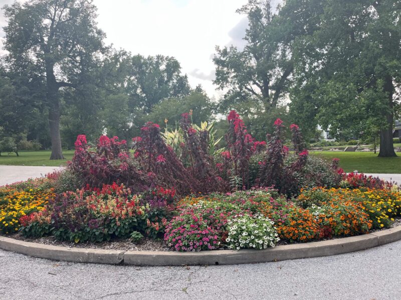 Perennial garden in Vander Veer Botanical Park in Davenport